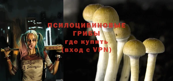 apvp Медногорск