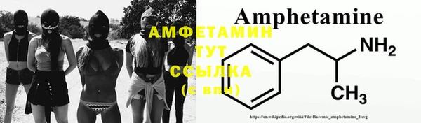 трава Медвежьегорск