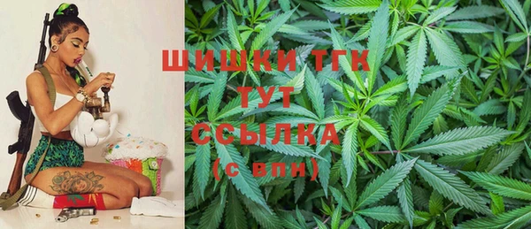 трава Медвежьегорск