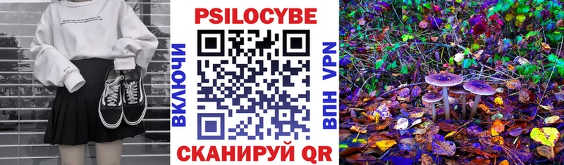 Галлюциногенные грибы Psilocybe  kraken маркетплейс  Сосновка 